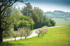 FROM PELHŘIMOV TO KŘEMEŠNÍK ACROSS THE KŘEMEŠNÍK HEIGHTS (photo 3)