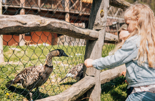 Zoo Jihlava (foto 1)