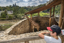 Jihlava Zoo (photo 11)