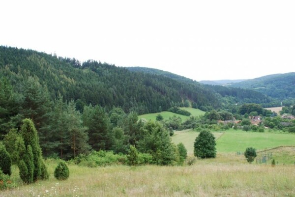 Národní přírodní památka Švařec (foto 1)