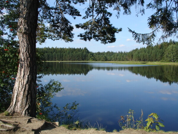 OKRUH ÚDOLÍM OSLAVY (foto 1)