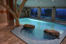 HOTEL PODLESÍ (photo 5)