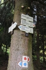 Jezdecká stezka Maříž – Golčův Jeníkov (foto 3)