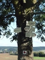 Jezdecká stezka Maříž – Golčův Jeníkov (foto 5)