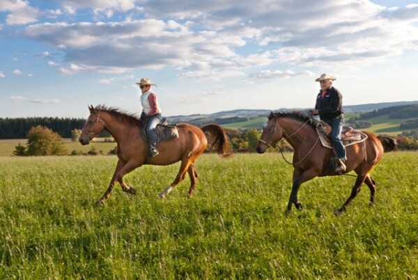 Jezdecká stezka Dukovany – Javorek (foto 1)
