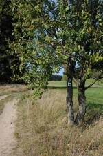 Jezdecká stezka Litohošť – Sosnový les (foto 2)