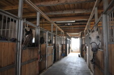 Equi Madlen (foto 2)