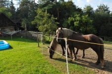 Jezdecká stanice Velká Paseka (foto 2)