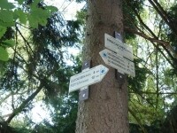 Jezdecká stezka Rozcestí nad Meziříčkem  - Pekelný kopec (foto 4)