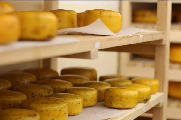 TONKA sýrárna na statku (foto 1)