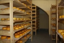 TONKA sýrárna na statku (foto 5)