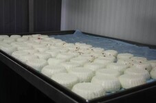 TONKA sýrárna na statku (foto 6)