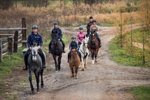 Jezdecká stezka Rozcestí nad Jersicemi – Tříletý mlýn (foto 1)
