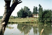 Kemp na farmě (foto 2)