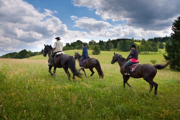 Jezdecká stezka Velké Meziříčí – Svatá hora (foto 1)
