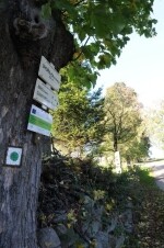 Jezdecká stezka Čejovský kopec – Úhořilka (foto 2)