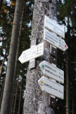 Jezdecká stezka Čejovský kopec – Úhořilka (foto 3)