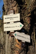 Jezdecká stezka Čejovský kopec – Úhořilka (foto 4)