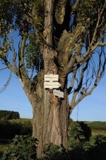 Jezdecká stezka Čejovský kopec – Úhořilka (foto 5)