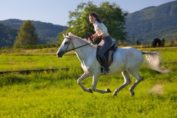 Jezdecká stezka Čejovský kopec – Úhořilka (foto 1)