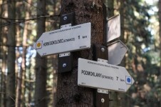 Jezdecká stezka Rozcestí na Dlouhých – Podmoklany (foto 2)