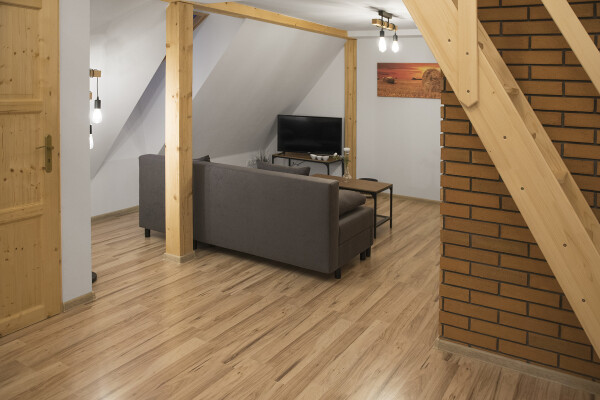 APARTMÁNY VE DVOŘE (foto 1)