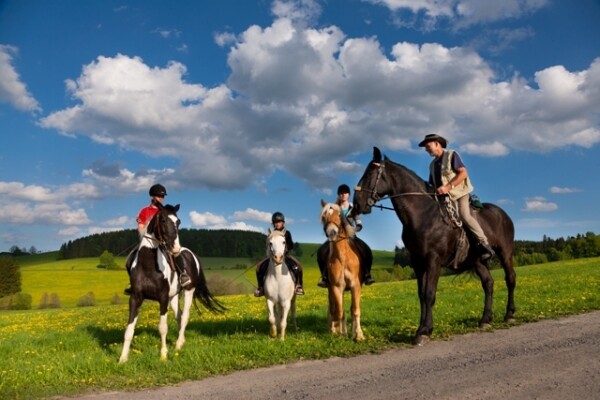 Jezdecká stezka Rozcestí na Dlouhých – Podmoklany (foto 1)