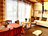 HOTEL A PENZION PEGAS (foto 7)