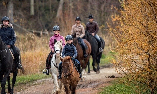 Jezdecká stezka Krasonice – Rozcestí Pod Pahorkem (foto 1)