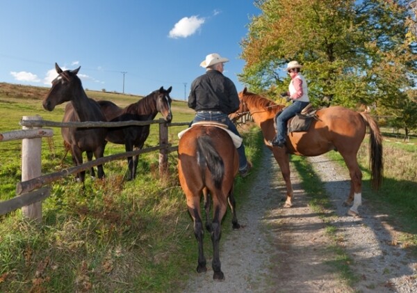 Jezdecká stezka Rozcestí nad Strouhou – Lipky u Telče (foto 1)