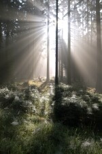 CHKO Žďárské vrchy (foto 5)