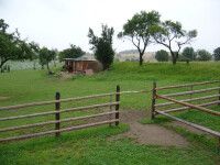 Ranč Ostrov (foto 2)