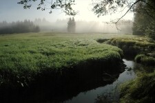 CHKO Žďárské vrchy (foto 7)