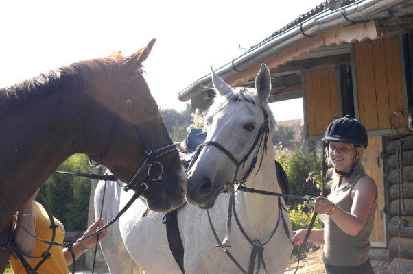 JK Cavalier Rynárec (foto 1)