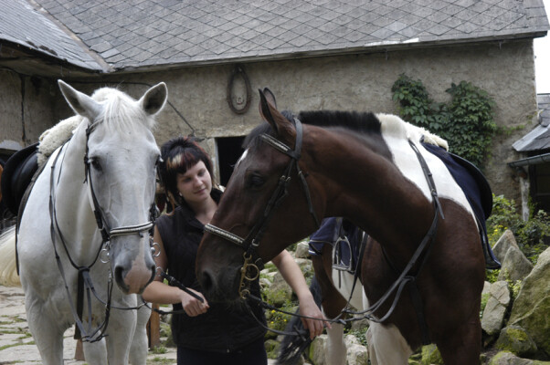 Stáj Sága (foto 1)