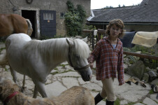 Stáj Sága (foto 4)