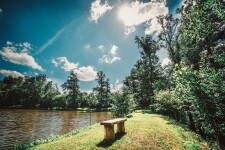 HOTEL FARMA (foto 4)