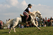 Stáj Sága (foto 5)