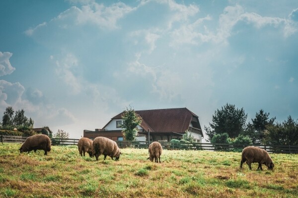 HOTEL FARMA (foto 1)