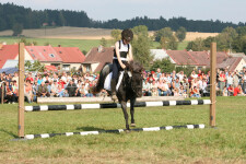 Stáj Sága (foto 6)