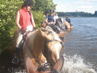 Jezdecký klub Janovičky (foto 2)