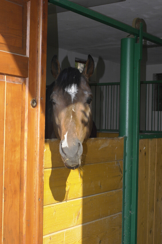 Farma Vlčí Hory (foto 1)