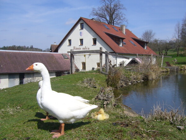 HÁNŮV MLÝN (foto 1)