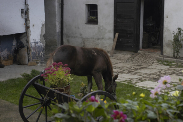 Stáj Zašovice (foto 1)