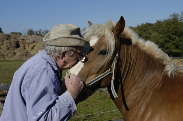 Stáj Janov (foto 1)