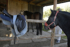 Stáj Janov (foto 2)