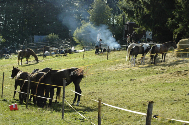 Kidova louka (foto 1)