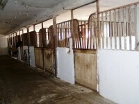 SK stáj Květnov (foto 3)