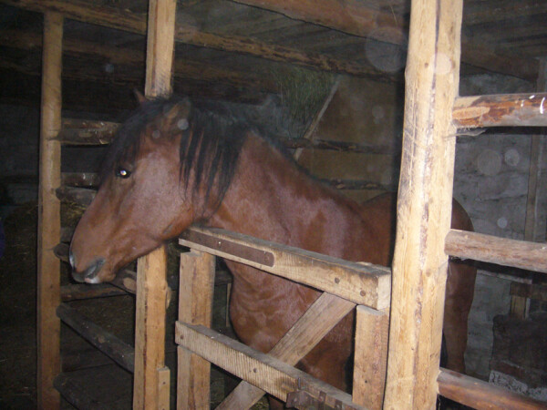 Statek pod Javořicí (foto 1)