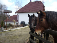 Ranč u římovského potoka (foto 2)